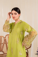 Load image into Gallery viewer, LIME-JAY 2PC- Embroidered Stitched Outfit
