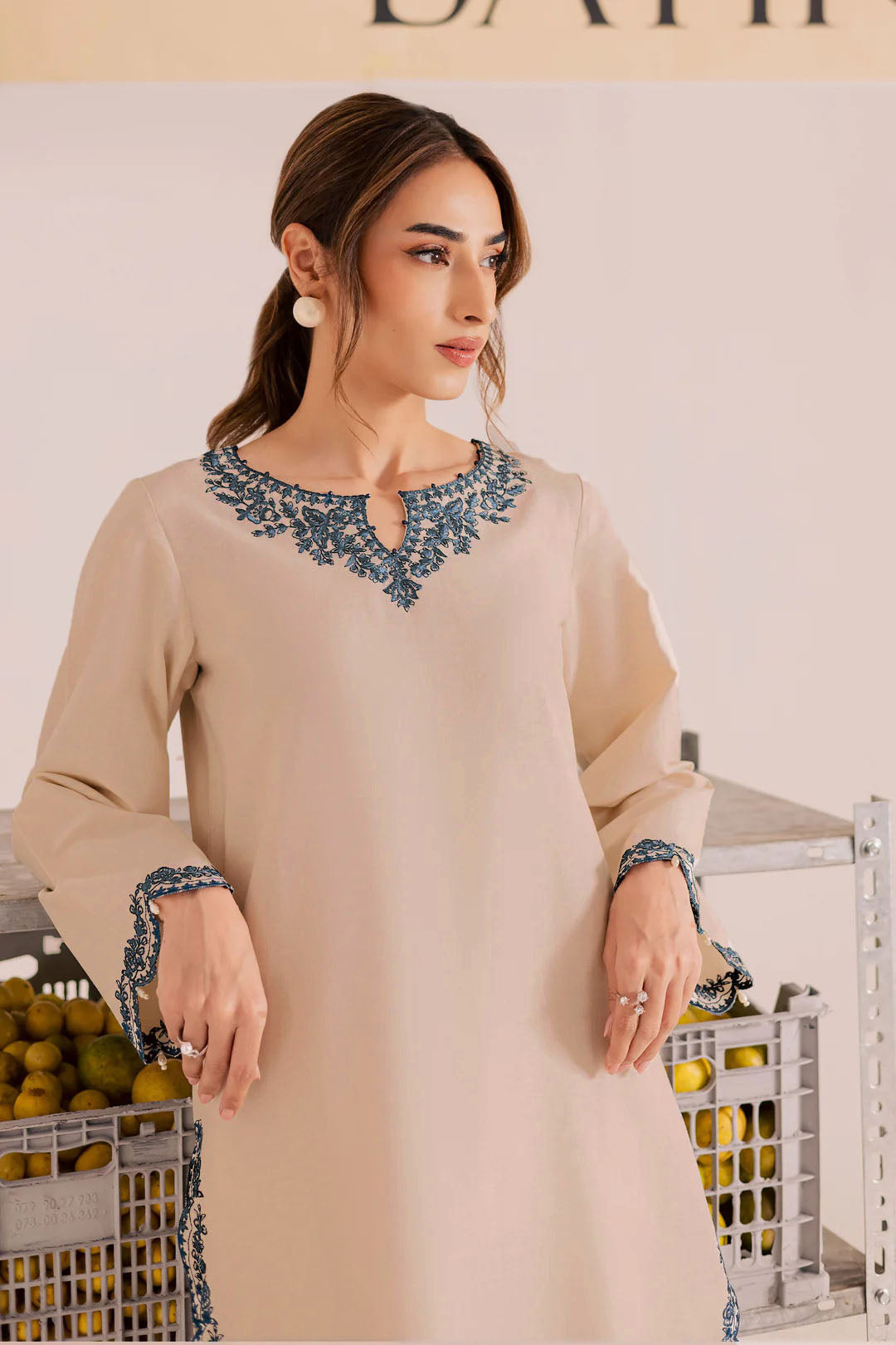 Fire Fly - 2Pc Embroidered Dress